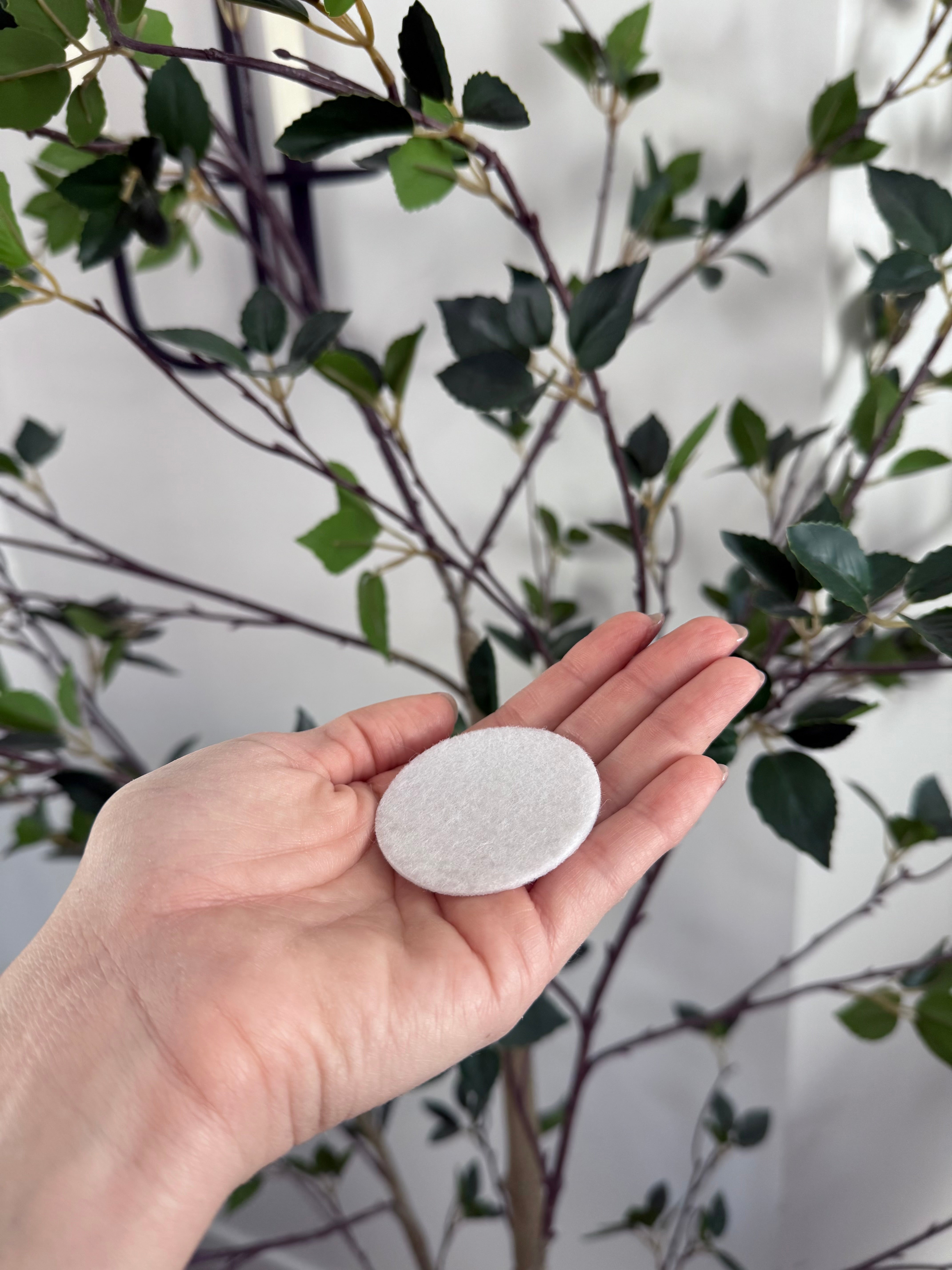 SweepScents Vacuum Filter Fragrance Pads